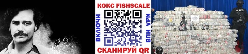 Купить где  Балашов  COCAIN 99% 